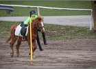 MountedGamesBayrischeMeisterschaft2015 039