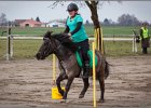 MountedGamesBayrischeMeisterschaft2015 041
