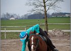 MountedGamesBayrischeMeisterschaft2015 042