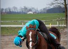 MountedGamesBayrischeMeisterschaft2015 043