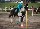 MountedGamesBayrischeMeisterschaft2015 046