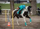 MountedGamesBayrischeMeisterschaft2015 047