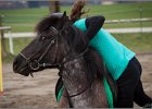 MountedGamesBayrischeMeisterschaft2015 051
