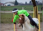 MountedGamesBayrischeMeisterschaft2015 052