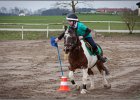 MountedGamesBayrischeMeisterschaft2015 053