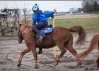 MountedGamesBayrischeMeisterschaft2015 056