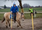 MountedGamesBayrischeMeisterschaft2015 058