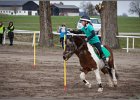 MountedGamesBayrischeMeisterschaft2015 060