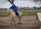 MountedGamesBayrischeMeisterschaft2015 062