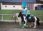 MountedGamesBayrischeMeisterschaft2015 068