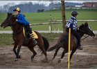 MountedGamesBayrischeMeisterschaft2015 073