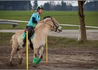 MountedGamesBayrischeMeisterschaft2015 076