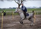 MountedGamesBayrischeMeisterschaft2015 079