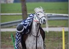MountedGamesBayrischeMeisterschaft2015 082