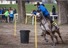 MountedGamesBayrischeMeisterschaft2015 091