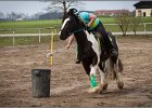 MountedGamesBayrischeMeisterschaft2015 093