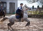 MountedGamesBayrischeMeisterschaft2015 095