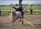 MountedGamesBayrischeMeisterschaft2015 096