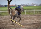 MountedGamesBayrischeMeisterschaft2015 098