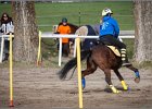 MountedGamesBayrischeMeisterschaft2015 101
