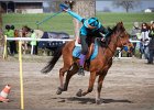 MountedGamesBayrischeMeisterschaft2015 107