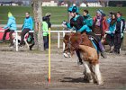 MountedGamesBayrischeMeisterschaft2015 108