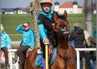 MountedGamesBayrischeMeisterschaft2015 115