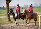 MountedGamesBayrischeMeisterschaft2015 117