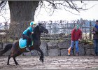 MountedGamesBayrischeMeisterschaft2015 119