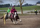 MountedGamesBayrischeMeisterschaft2015 120