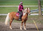 MountedGamesBayrischeMeisterschaft2015 124