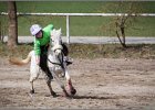 MountedGamesBayrischeMeisterschaft2015 131