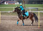 MountedGamesBayrischeMeisterschaft2015 136