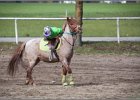 MountedGamesBayrischeMeisterschaft2015 140