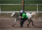 MountedGamesBayrischeMeisterschaft2015 141