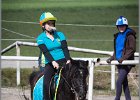MountedGamesBayrischeMeisterschaft2015 143