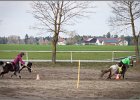 MountedGamesBayrischeMeisterschaft2015 145