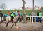 MountedGamesBayrischeMeisterschaft2015 146