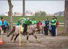 MountedGamesBayrischeMeisterschaft2015 147