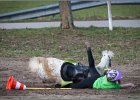 MountedGamesBayrischeMeisterschaft2015 152