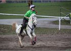 MountedGamesBayrischeMeisterschaft2015 153