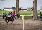 MountedGamesBayrischeMeisterschaft2015 156