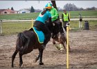 MountedGamesBayrischeMeisterschaft2015 160