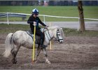 MountedGamesBayrischeMeisterschaft2015 163