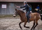 MountedGamesBayrischeMeisterschaft2015 168