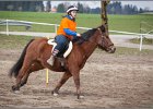 MountedGamesBayrischeMeisterschaft2015 172