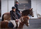 MountedGamesBayrischeMeisterschaft2015 174