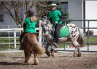 MountedGamesBayrischeMeisterschaft2015 180
