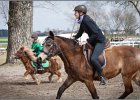 MountedGamesBayrischeMeisterschaft2015 181