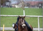 MountedGamesBayrischeMeisterschaft2015 182